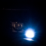 náhled fotografie z alba 7/7